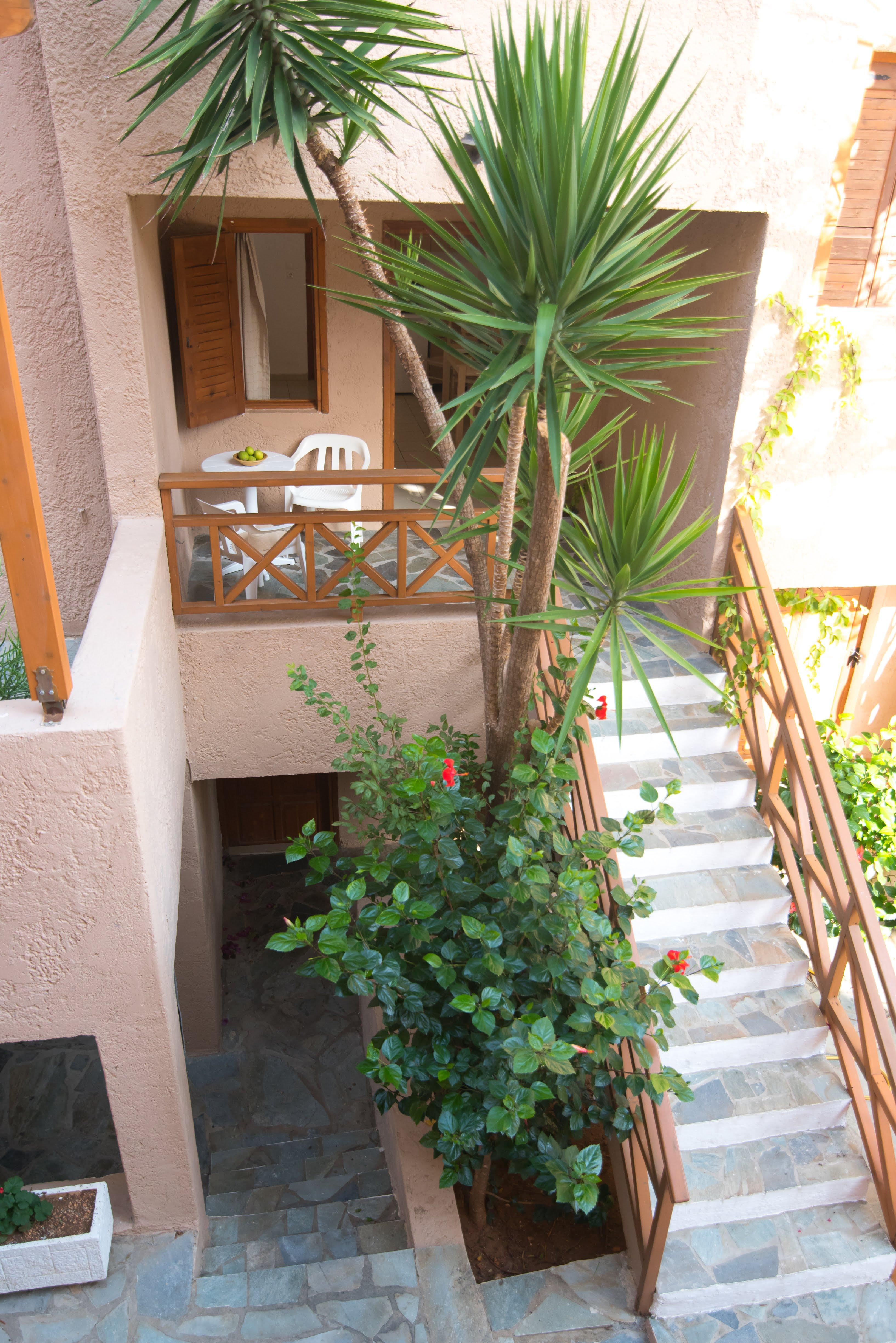 Anna Maria Hotel Malia Exterior foto