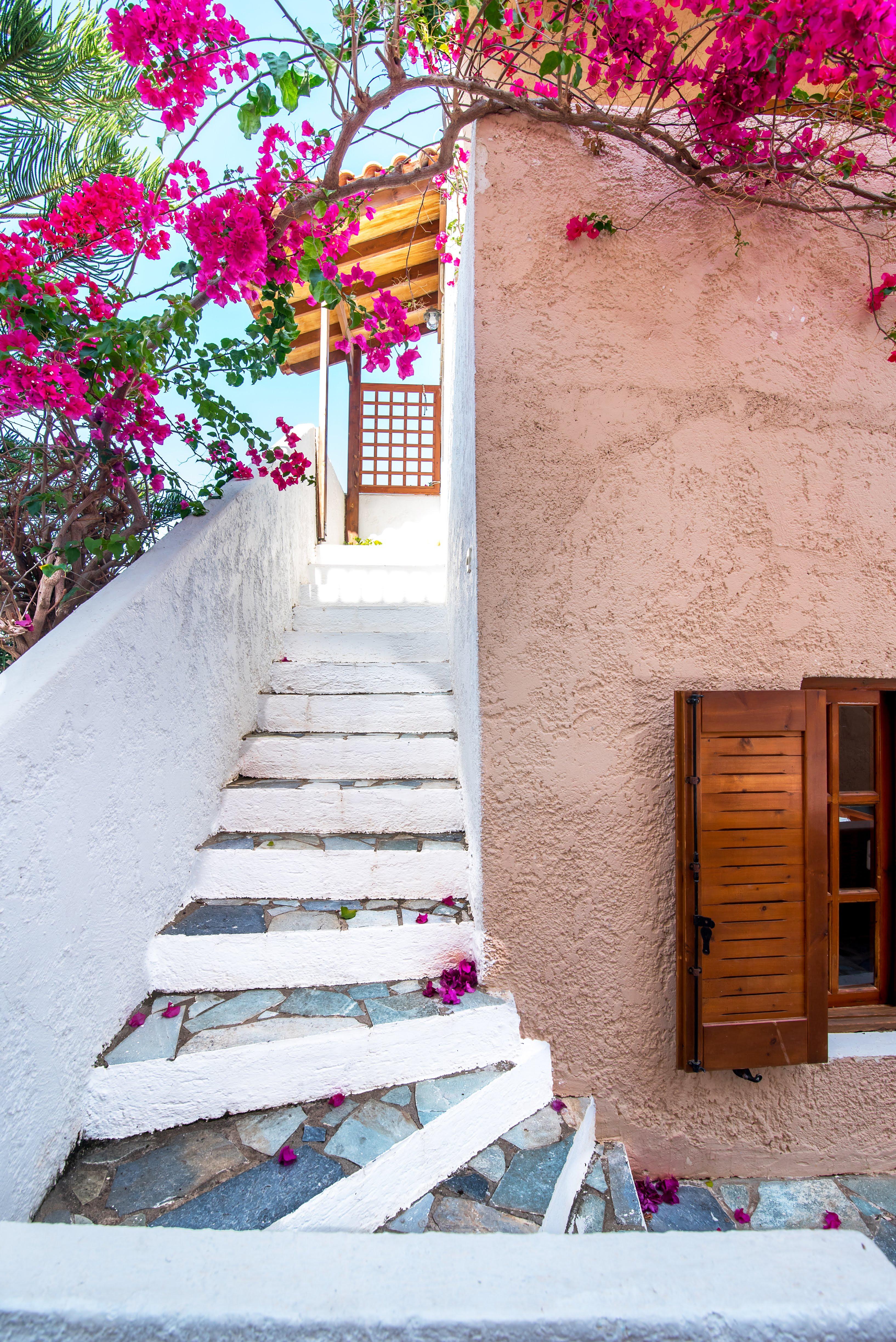 Anna Maria Hotel Malia Exterior foto